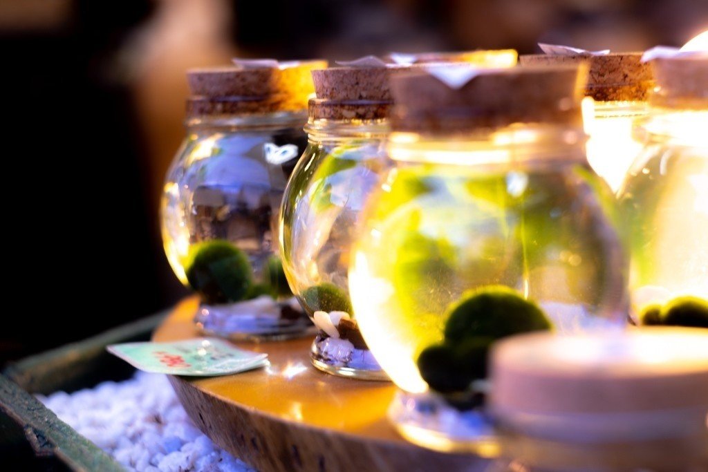 Marimo