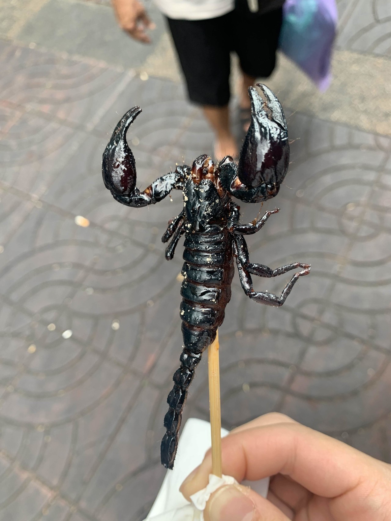 画像15