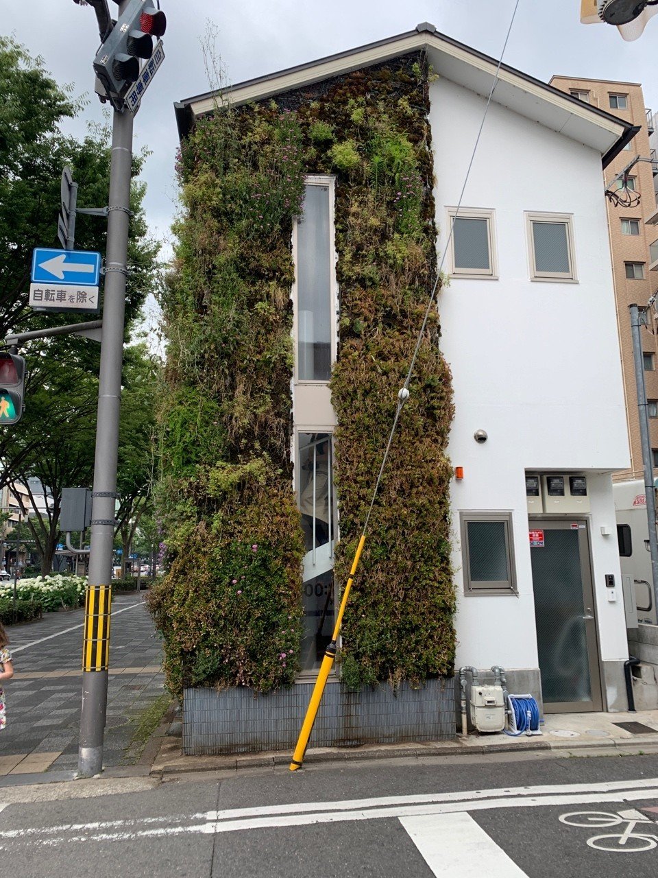 京都への旅 4