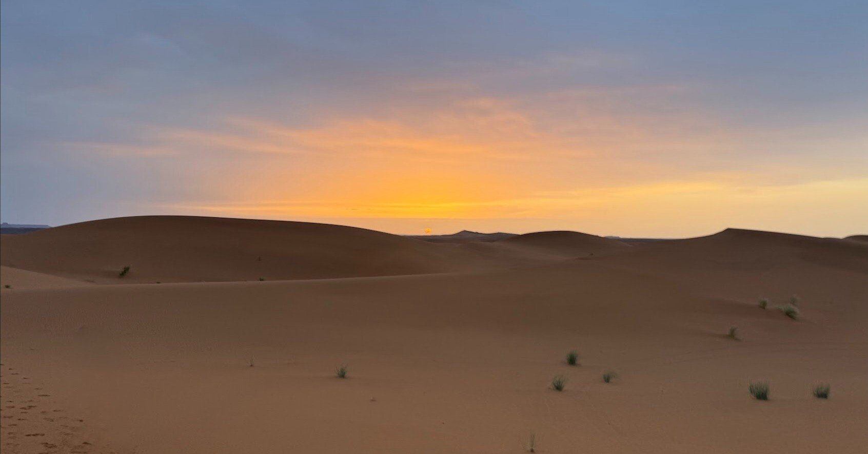 【速報】サハラマラソン2025完走レポート｜エンジニアが7日間で250kmを走破した記録