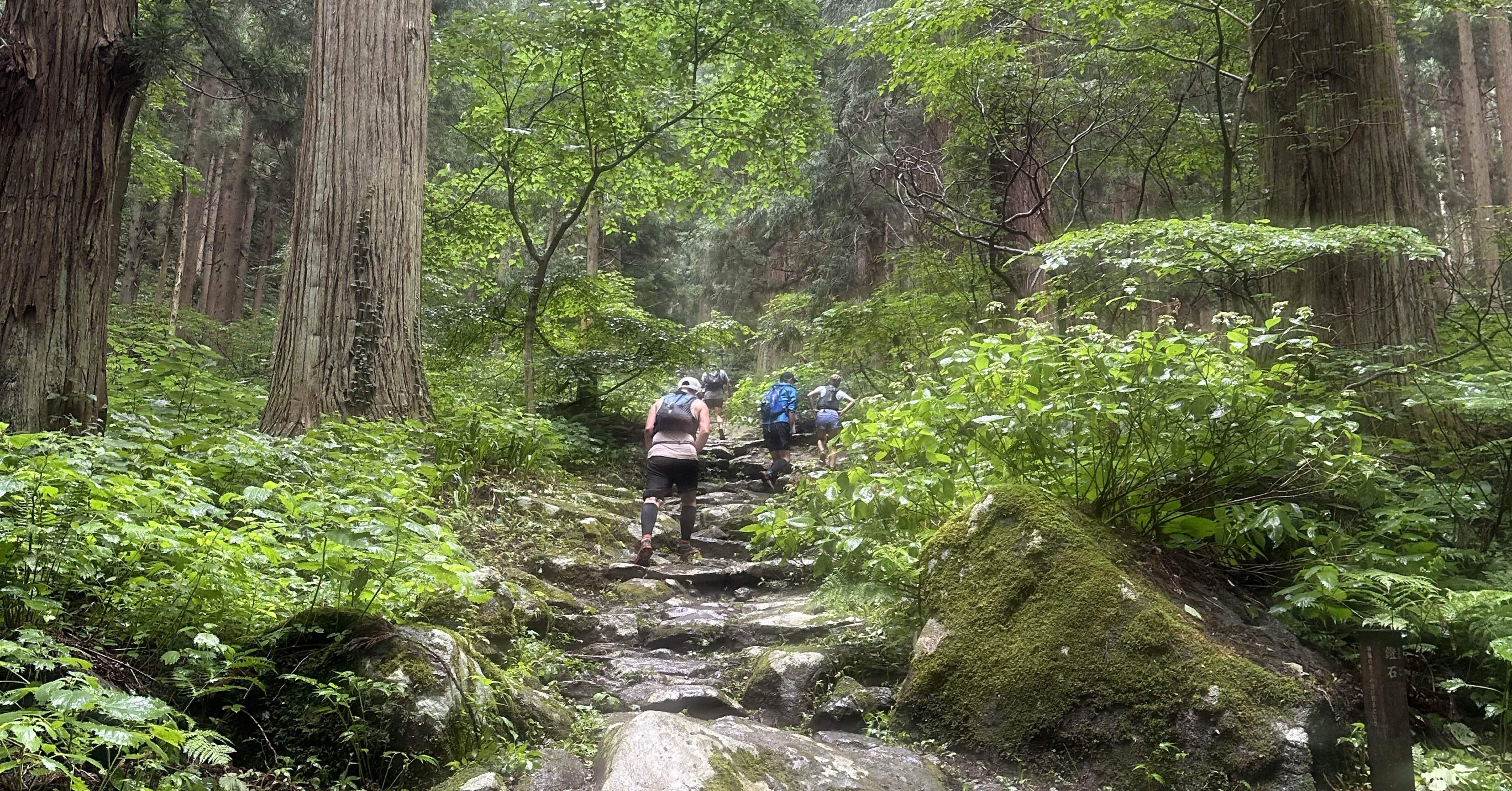 初めてのトレイルランニングで完走した話「The 4100D マウンテントレイル in 野沢温泉」