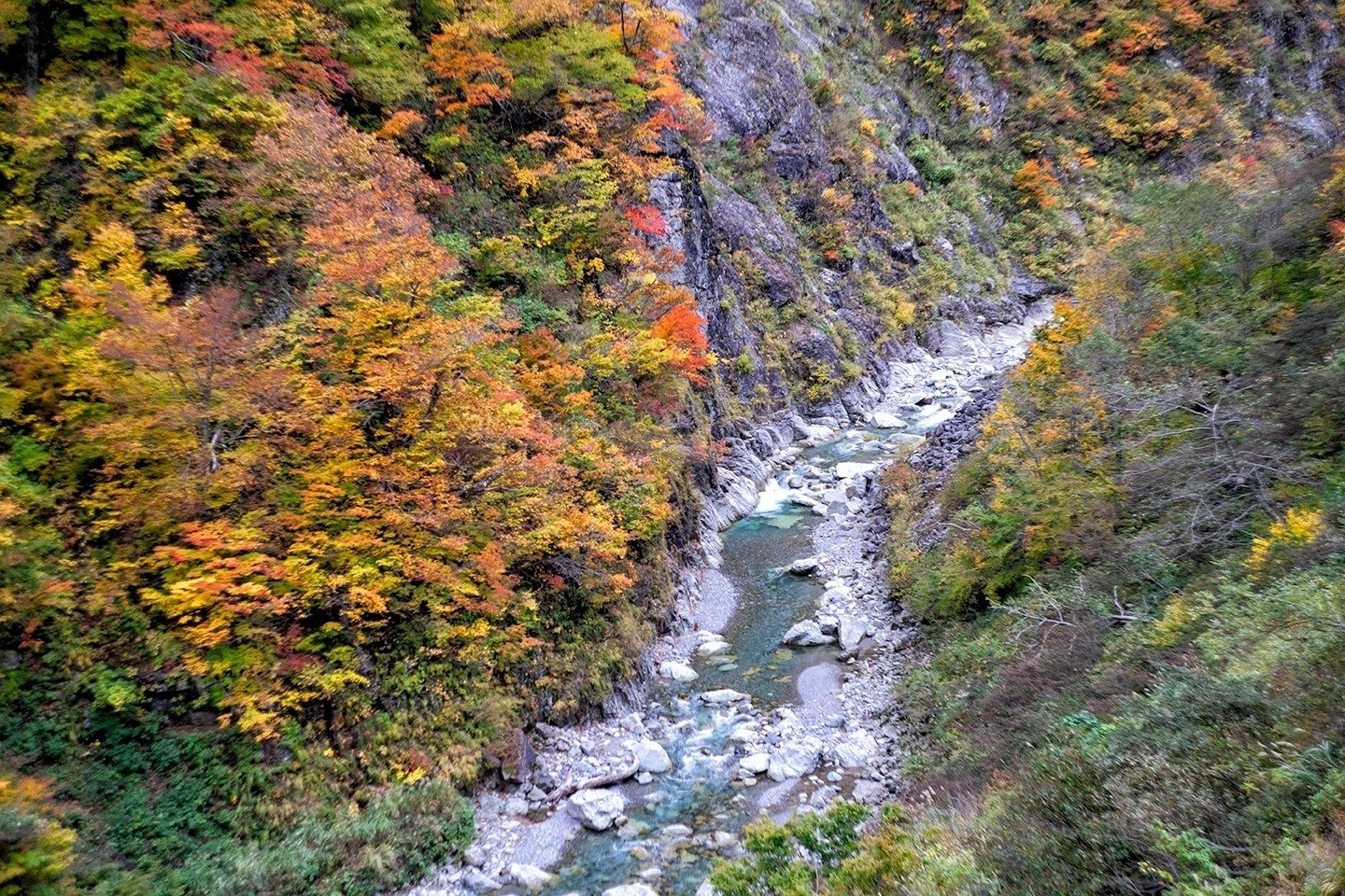 白山白川郷ホワイトロードの紅葉