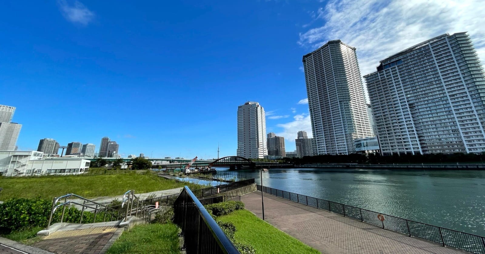 理系院卒がベンチャーと大手で迷ったとき読む話——院進するかどうかも含めて正直に