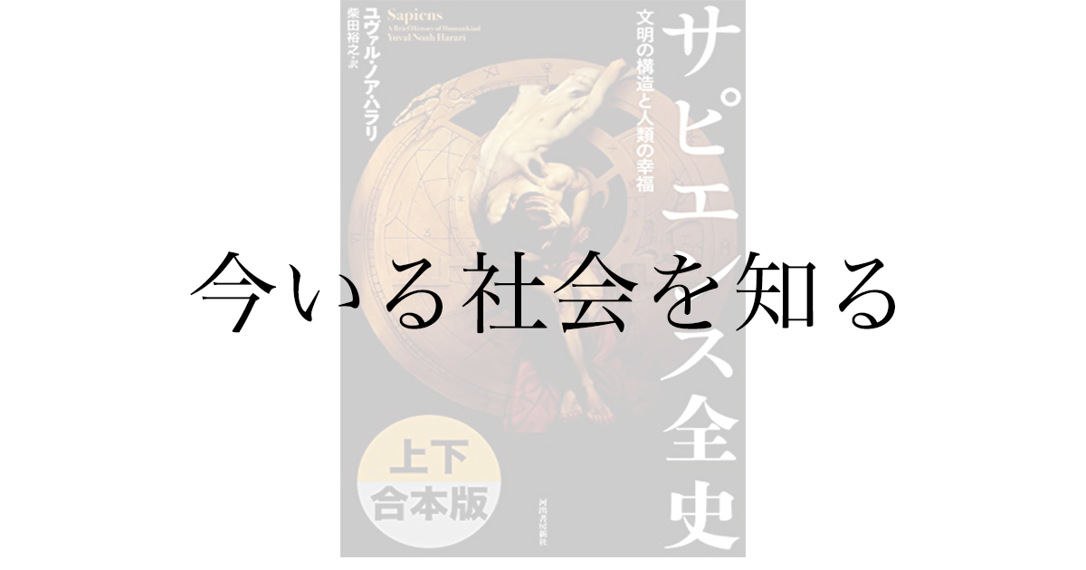 ユヴァル・ノア・ハラリ『サピエンス全史』感想——人類史の全体像を1冊でつかむ