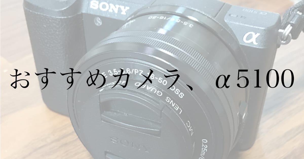 SONY α5100レビュー——カメラ初心者が旅行に持ち歩いて満足できた理由