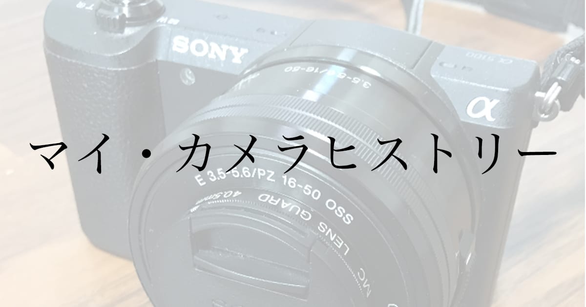 大学でカメラを始めた自分が3台買って学んだこと——コンデジからフルサイズまで